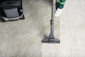 Alina Clean carpet cleaning